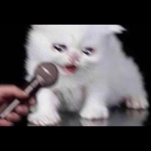 Meet your Posher, Parker